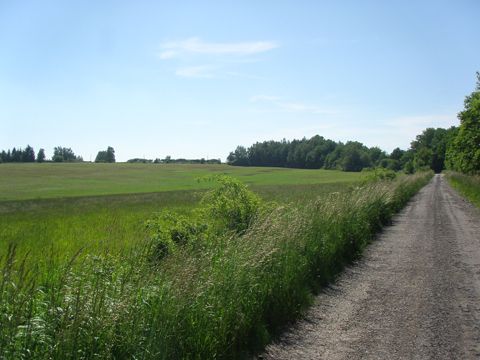 Foto 200